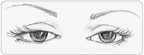 Иллюстрация к книге — Я понимаю тебя без слов. Как читать людей по жестам и мимике [i_107.jpg]