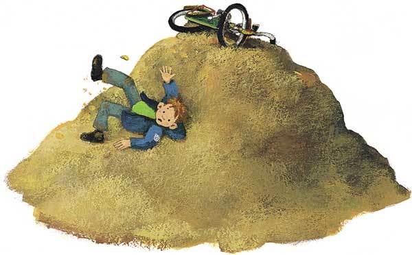 Иллюстрация к книге — Дети с улицы Чаек [i_013.jpg]