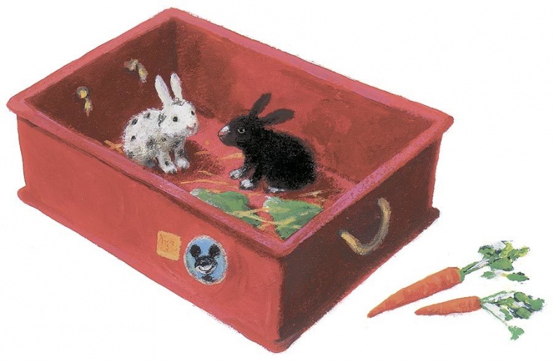 Иллюстрация к книге — Лето на улице Чаек [i_008.jpg]