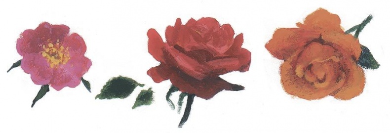 Иллюстрация к книге — Лето на улице Чаек [i_013.jpg]