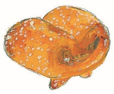 Иллюстрация к книге — Тайна на улице Чаек [i_050.jpg]