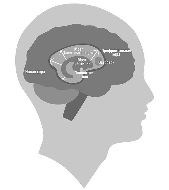 Иллюстрация к книге — Единоплеменники. Сплотить, убедить, вдохновить [i_004.jpg]