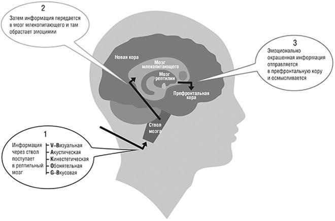 Иллюстрация к книге — Единоплеменники. Сплотить, убедить, вдохновить [i_006.jpg]