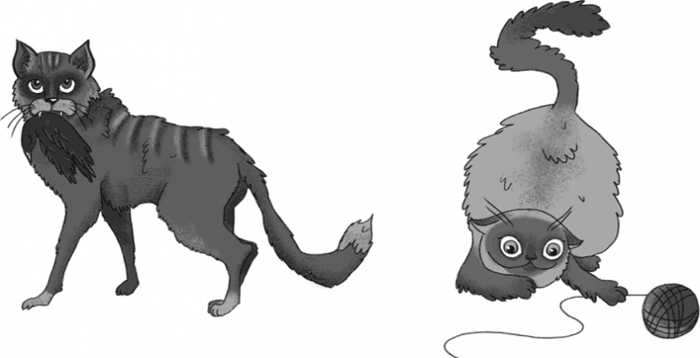 Иллюстрация к книге — КОТоЛОГИКА. О чем молчит кошка [i_001.jpg]