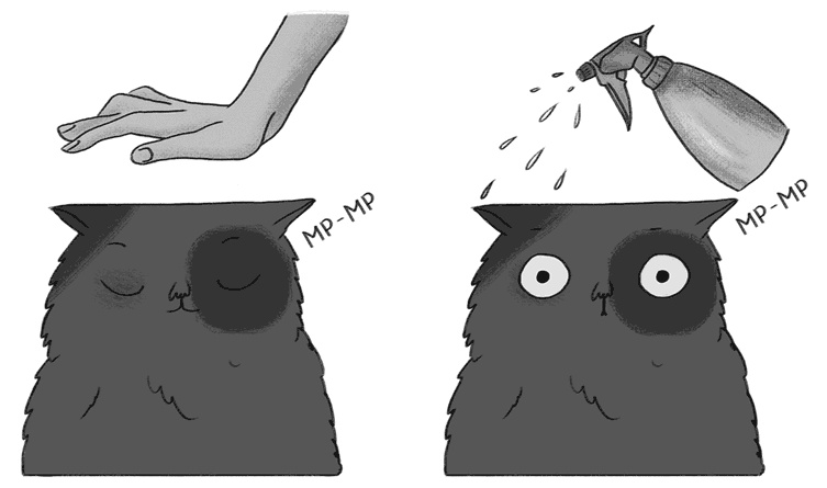 Иллюстрация к книге — КОТоЛОГИКА. О чем молчит кошка [i_003.jpg]