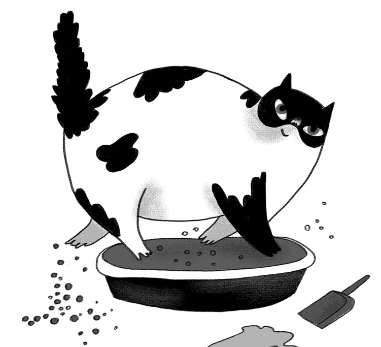 Иллюстрация к книге — КОТоЛОГИКА. О чем молчит кошка [i_004.jpg]