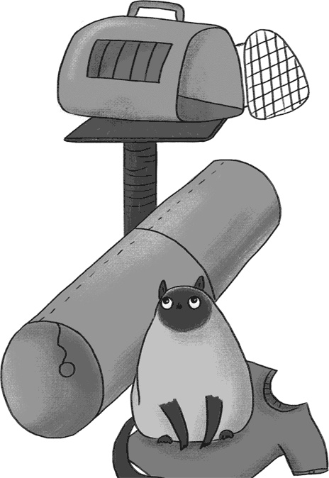 Иллюстрация к книге — КОТоЛОГИКА. О чем молчит кошка [i_018.jpg]