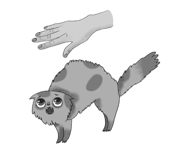 Иллюстрация к книге — КОТоЛОГИКА. О чем молчит кошка [i_020.jpg]