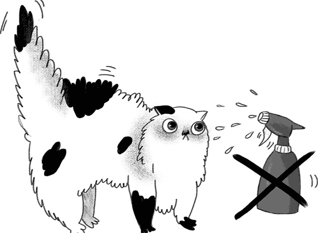 Иллюстрация к книге — КОТоЛОГИКА. О чем молчит кошка [i_021.jpg]