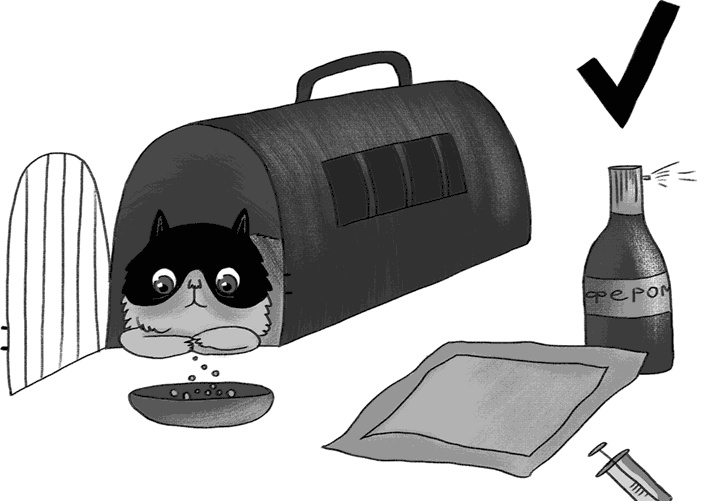 Иллюстрация к книге — КОТоЛОГИКА. О чем молчит кошка [i_026.jpg]