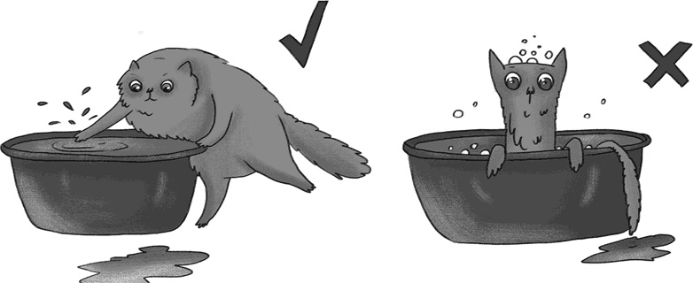 Иллюстрация к книге — КОТоЛОГИКА. О чем молчит кошка [i_035.jpg]