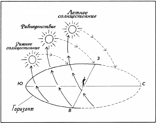 Иллюстрация к книге — Супернавигаторы. О чудесах навигации в животном мире [i_002.jpg]