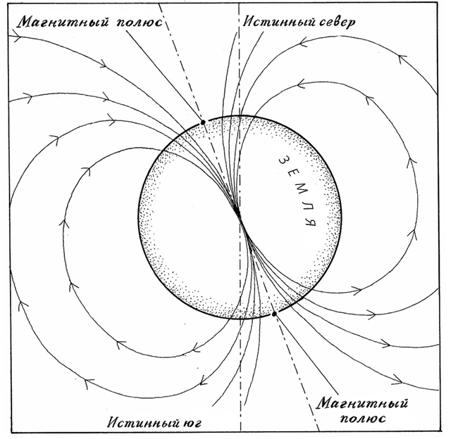 Иллюстрация к книге — Супернавигаторы. О чудесах навигации в животном мире [i_007.jpg]