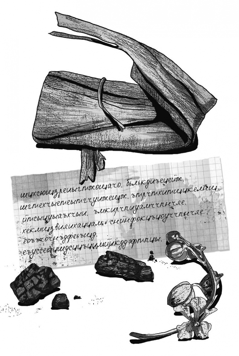 Иллюстрация к книге — Город Солнца. Сердце мглы [_005.jpg]