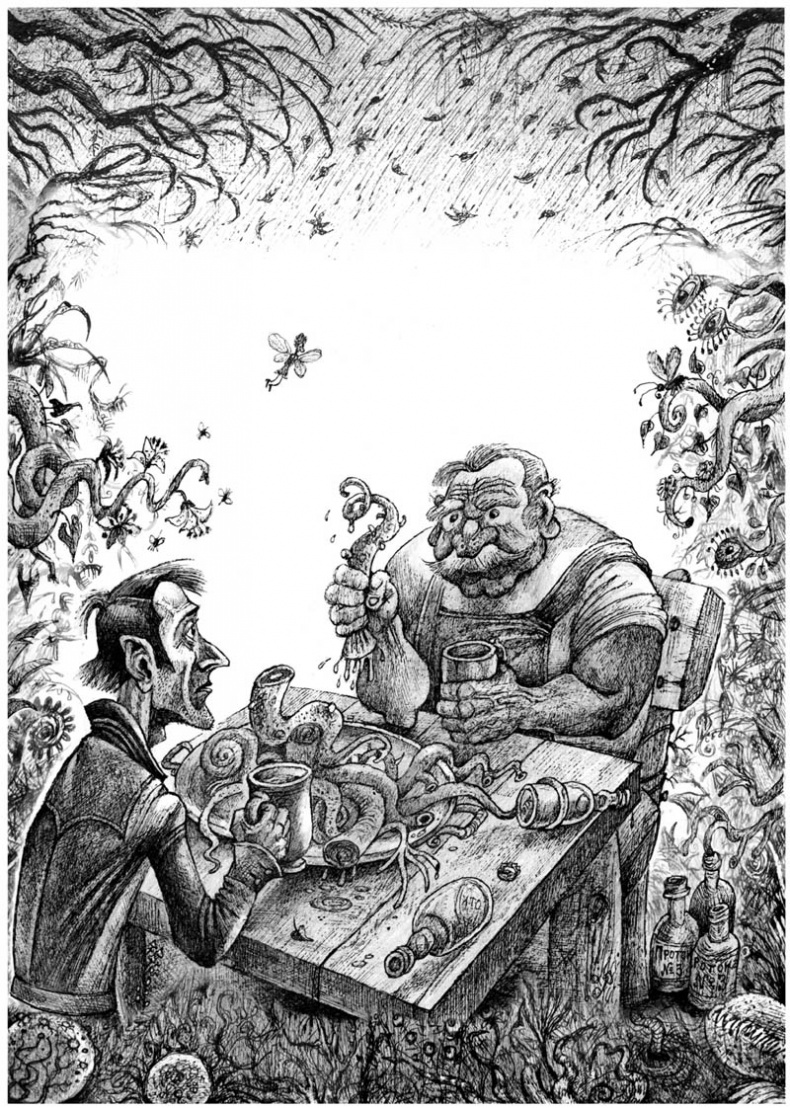 Иллюстрация к книге — Сад зеркал [i_001.jpg]