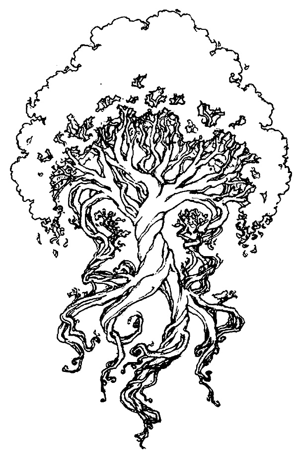 Иллюстрация к книге — Сад зеркал [i_002.jpg]