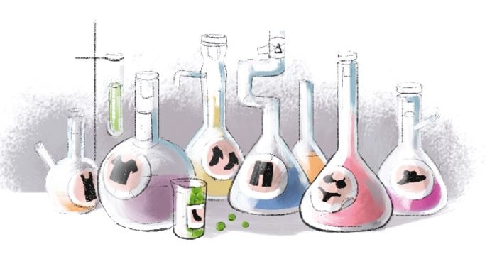 Иллюстрация к книге — Лечим «нечегонадеть» самостоятельно, или Почему вам не нужен «стилист» [i_026.jpg]