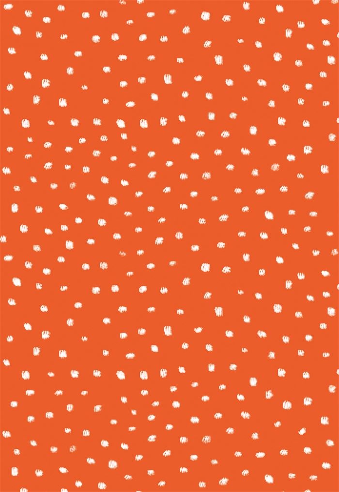 Иллюстрация к книге — Лечим «нечегонадеть» самостоятельно, или Почему вам не нужен «стилист» [i_072.jpg]