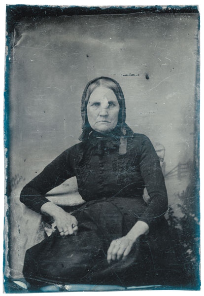 Иллюстрация к книге — Собрание птиц [i_010.jpg]