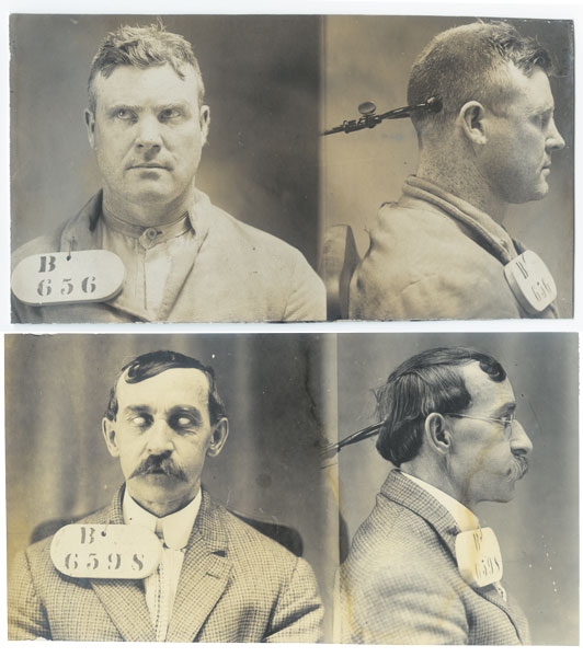 Иллюстрация к книге — Собрание птиц [i_012.jpg]