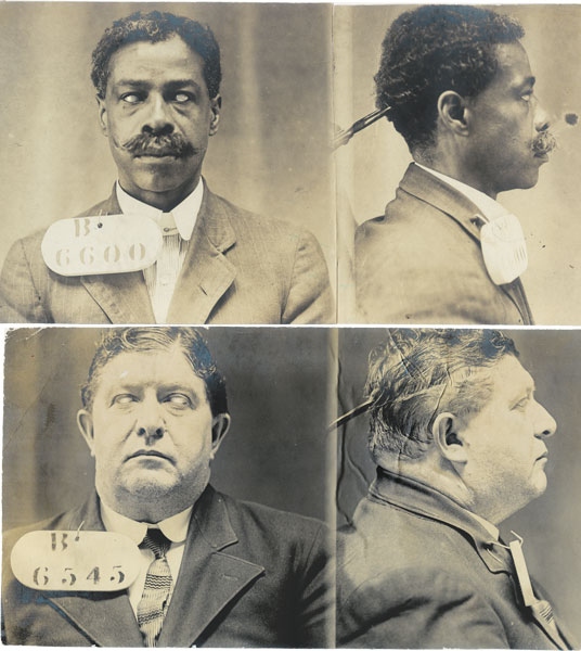 Иллюстрация к книге — Собрание птиц [i_013.jpg]