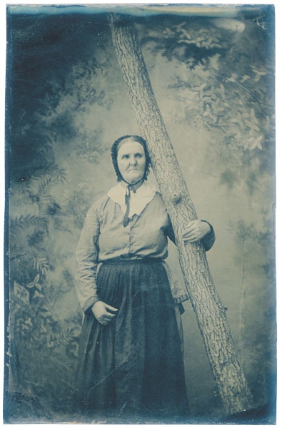 Иллюстрация к книге — Собрание птиц [i_021.jpg]