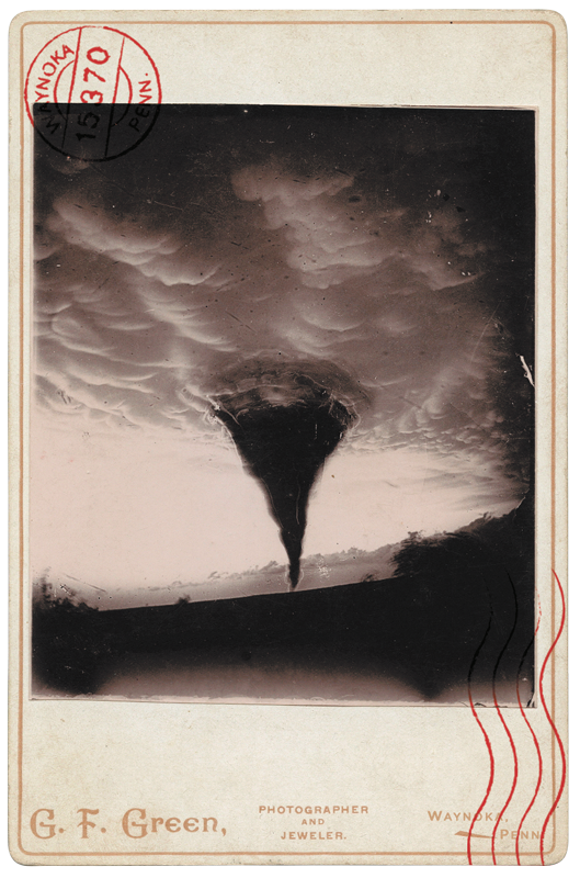 Иллюстрация к книге — Собрание птиц [i_033.jpg]