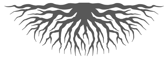 Иллюстрация к книге — Счастливое долголетие. Энциклопедия самых эффективных советов для здоровья [i_002.jpg]