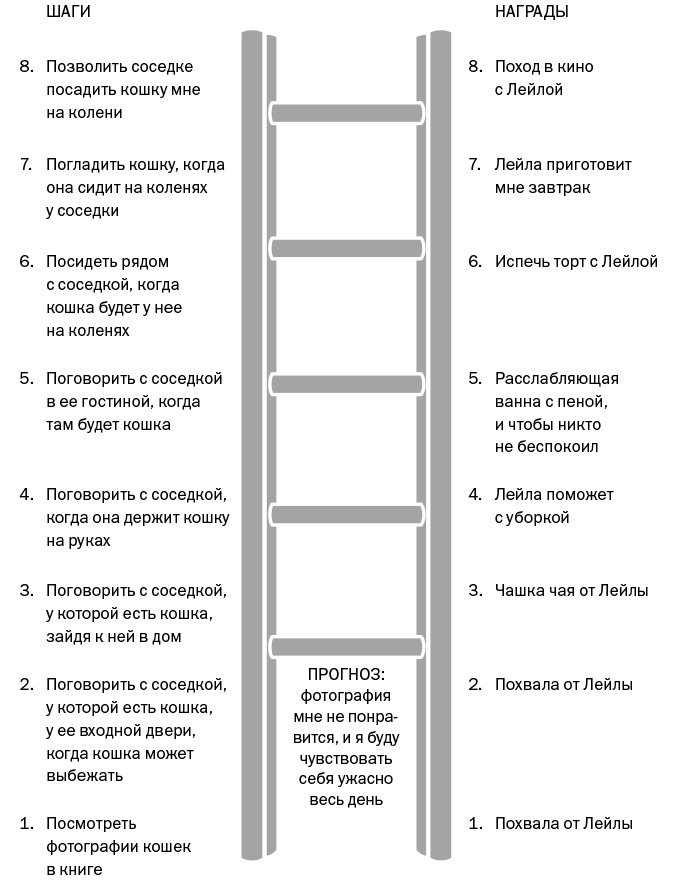 Иллюстрация к книге — Спокойные. Как помочь детям справиться со страхами и тревогой [img_23.jpg]