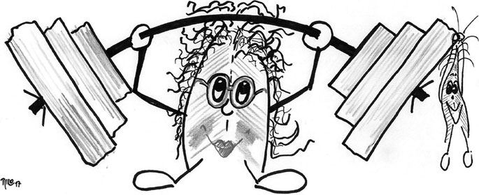 Иллюстрация к книге — Мышцы. Как у вас дела? [i_005.jpg]