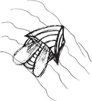 Иллюстрация к книге — К вопросу о миражах [i_002.jpg]