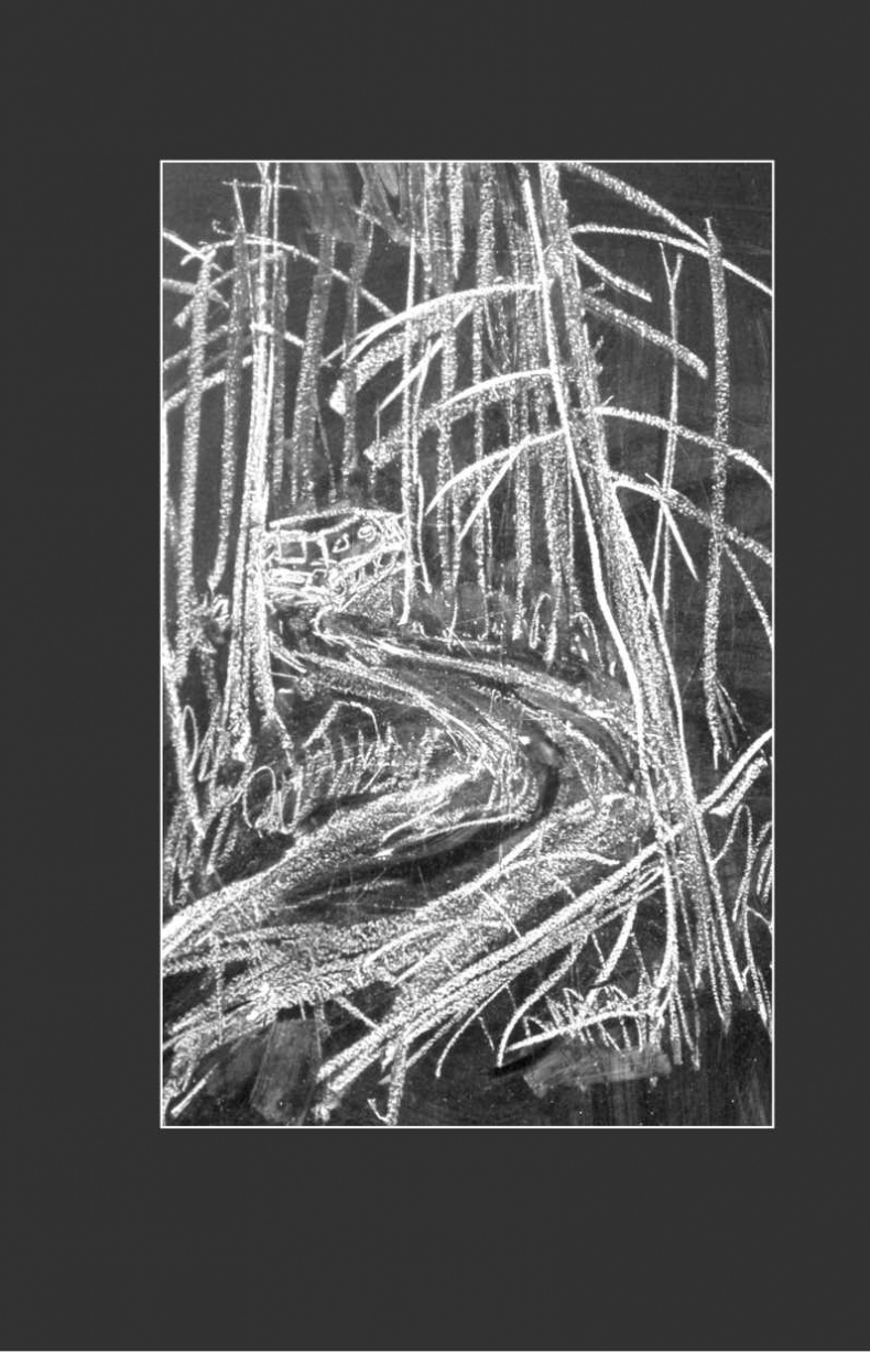 Иллюстрация к книге — Пища дикарей [i_006.jpg]