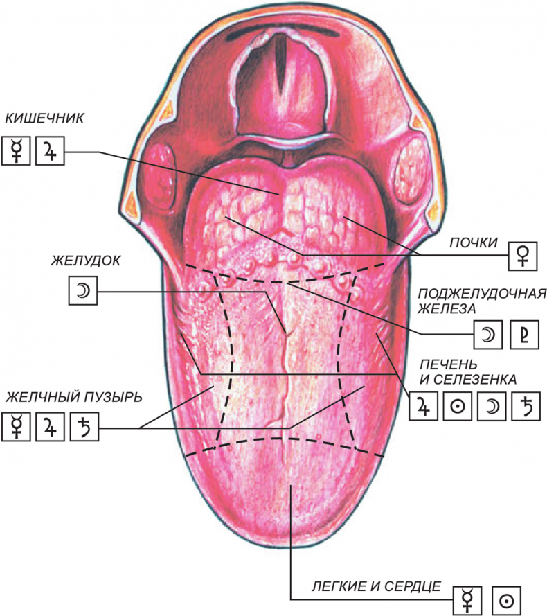 Иллюстрация к книге — Секреты классической медицинской астрологии. Древние способы постановки диагноза, выбора времени и оптимальных способов лечения [img379e173be90b46069927bc66be5b35c9.jpg]