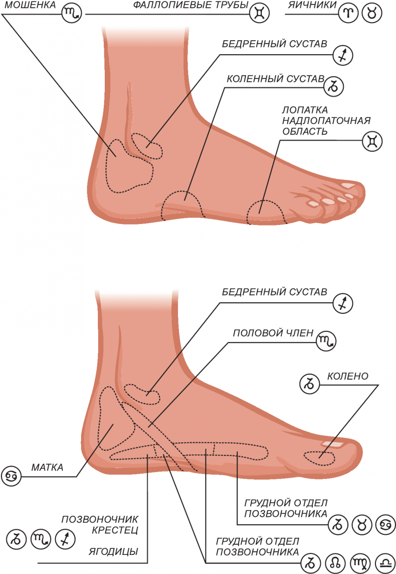 Иллюстрация к книге — Секреты классической медицинской астрологии. Древние способы постановки диагноза, выбора времени и оптимальных способов лечения [img3e9a5fb6f9424235b9c108c7c44e4b1c.jpg]