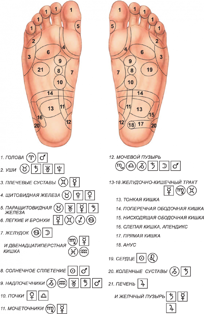 Иллюстрация к книге — Секреты классической медицинской астрологии. Древние способы постановки диагноза, выбора времени и оптимальных способов лечения [img7911d046922a45708f5dd7ce9ad7c7bb.jpg]