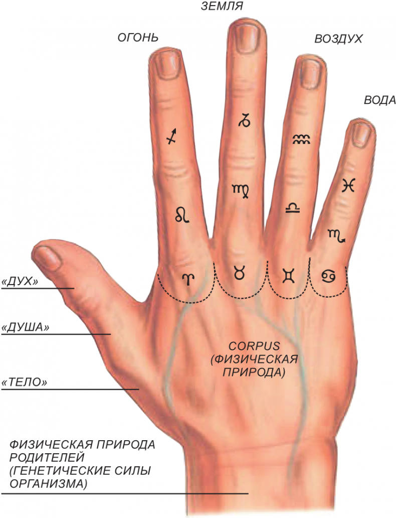 Иллюстрация к книге — Секреты классической медицинской астрологии. Древние способы постановки диагноза, выбора времени и оптимальных способов лечения [imga1e7f026b62d4cd28d6120f62e89d9cb.jpg]