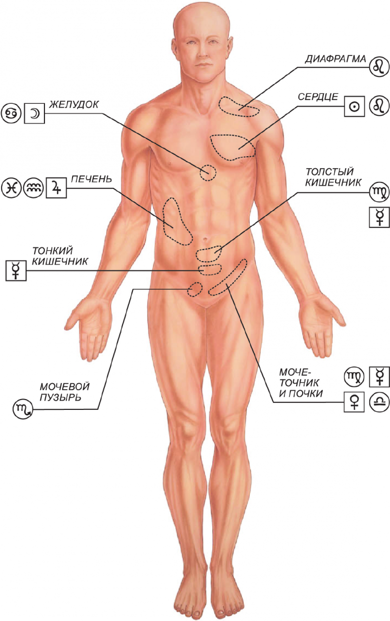 Иллюстрация к книге — Секреты классической медицинской астрологии. Древние способы постановки диагноза, выбора времени и оптимальных способов лечения [imga42b41c22700494ca605591a55b9a821.jpg]