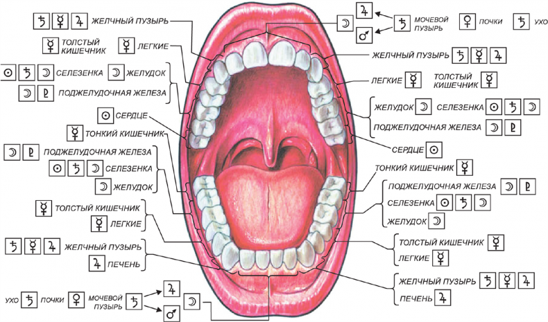 Иллюстрация к книге — Секреты классической медицинской астрологии. Древние способы постановки диагноза, выбора времени и оптимальных способов лечения [imga6fc068a09964165a93340514430602a.jpg]