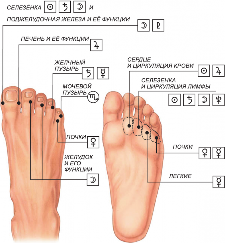 Иллюстрация к книге — Секреты классической медицинской астрологии. Древние способы постановки диагноза, выбора времени и оптимальных способов лечения [imgd45d8dc80757421cbd7021204d39b285.jpg]
