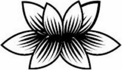 Иллюстрация к книге — Предатель в Северной Корее. Гид по самой зловещей стране планеты [i_025.jpg]