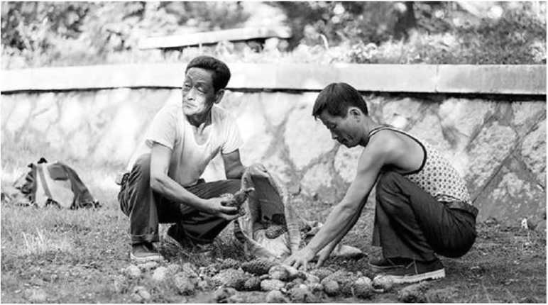 Иллюстрация к книге — Предатель в Северной Корее. Гид по самой зловещей стране планеты [i_033.jpg]