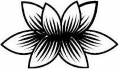 Иллюстрация к книге — Предатель в Северной Корее. Гид по самой зловещей стране планеты [i_035.jpg]