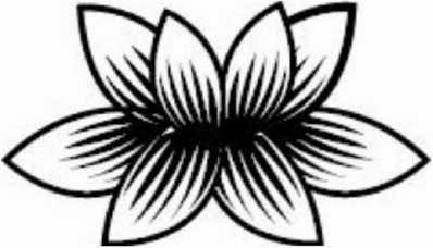 Иллюстрация к книге — Предатель в Северной Корее. Гид по самой зловещей стране планеты [i_052.jpg]