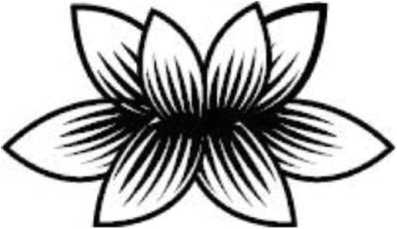 Иллюстрация к книге — Предатель в Северной Корее. Гид по самой зловещей стране планеты [i_086.jpg]