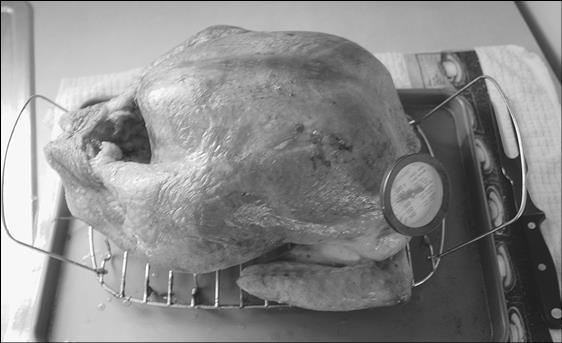 Иллюстрация к книге — Как я год жила по Библии [i_020.jpg]