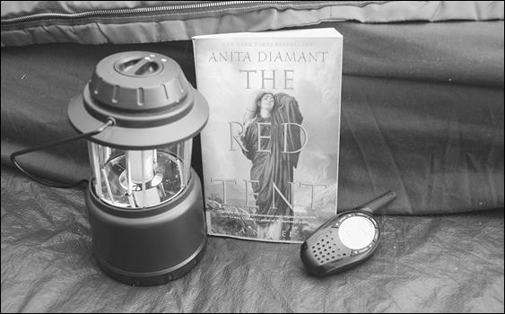 Иллюстрация к книге — Как я год жила по Библии [i_056.jpg]