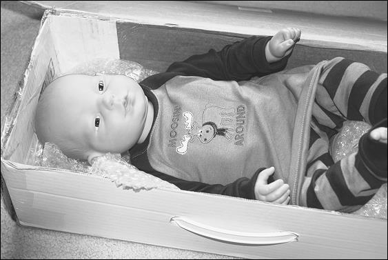 Иллюстрация к книге — Как я год жила по Библии [i_065.jpg]