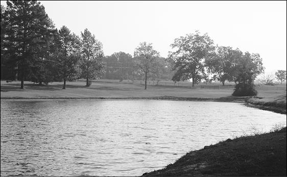 Иллюстрация к книге — Как я год жила по Библии [i_094.jpg]