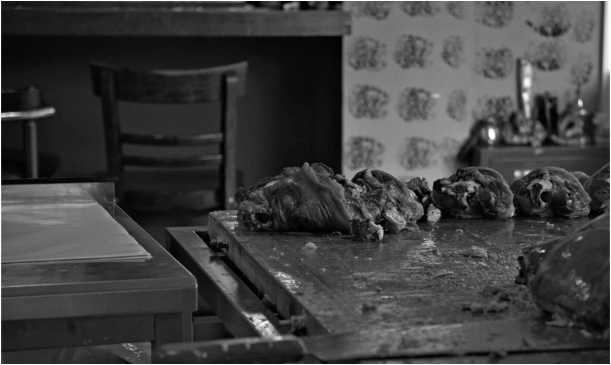 Иллюстрация к книге — О том, что есть в Греции [i_005.jpg]