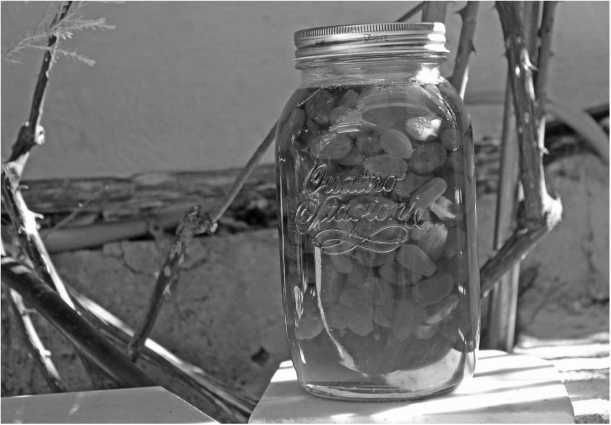 Иллюстрация к книге — О том, что есть в Греции [i_009.jpg]